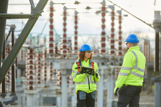Best Generator Installation Services  in Citrus Park, FL