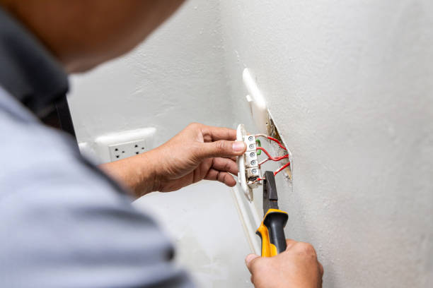 Best Local Electrician Companies  in Citrus Park, FL