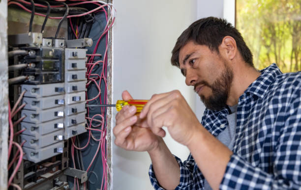 Best Licensed Electrician  in Citrus Park, FL